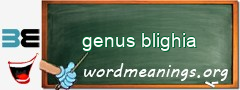 WordMeaning blackboard for genus blighia